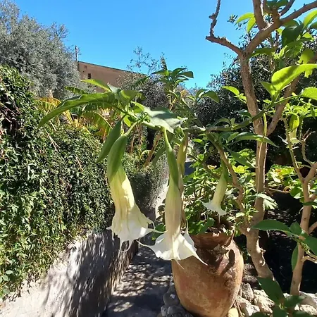 Lemon Garden Σπίτι διακοπών