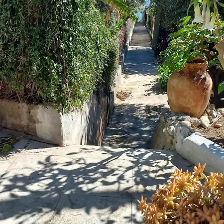 Lemon Garden Palermo