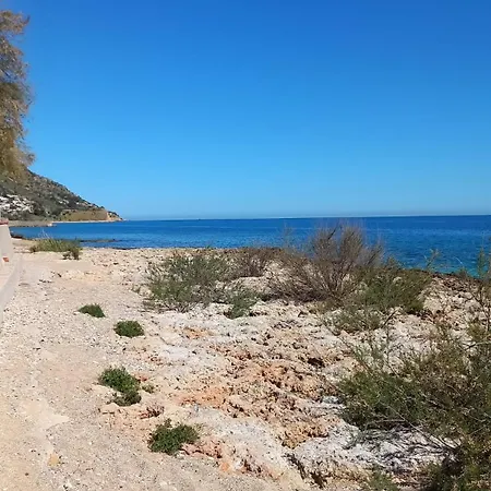 Lemon Garden Παλέρμο