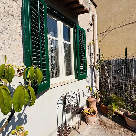 Lemon Garden Παλέρμο